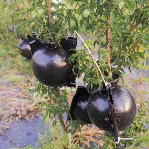 5pcs Plant Rooting Ball Grafting Rooting Growing Box Breeding Case for Garden Plant high-pressure propagation box Sapling New