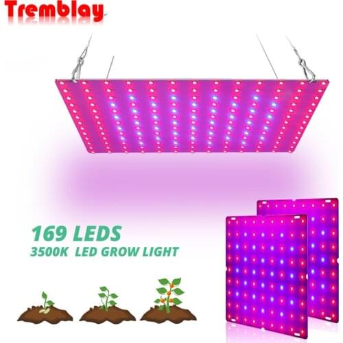LED Grow Light with 169x2835 Lamp Beads Phytolamp for Plants Quantum Board Growth Lighting Full Spectrum Hydroponics Plant Lamp