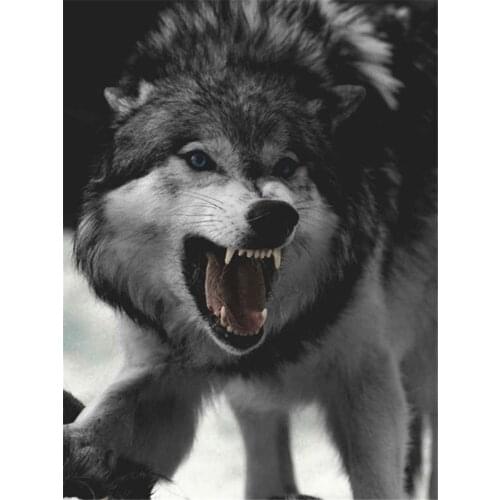 Wolf Cartoon Animal DIY Embroidery 11CT Cross Stitch Kits Craft Needlework Set Cotton Thread Printed Canvas Home Design