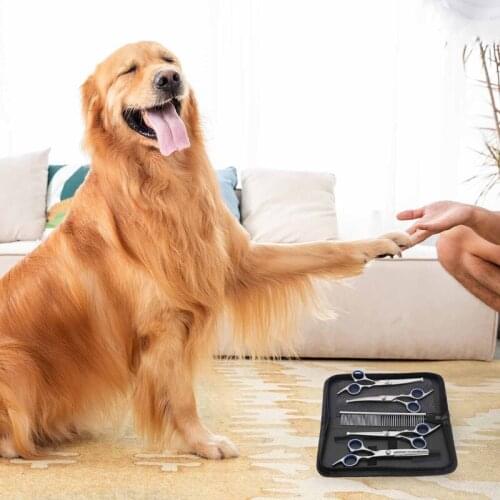 Hair Cutting Curved Teeth Home Salon Professional Safe Styling Tool Cat Dog Pet Grooming Scissors Set Thinning 6 inch