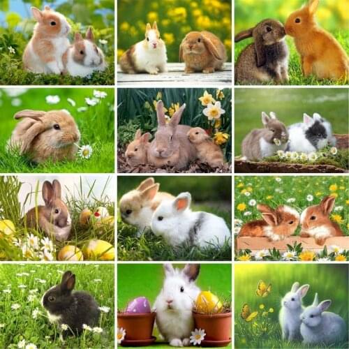 GATYZTORY DIY Frame Painting By Numbers Kits For Adult child Cute Rabbit Animals Hand Painted Oil Paint By Numbers Home Decor