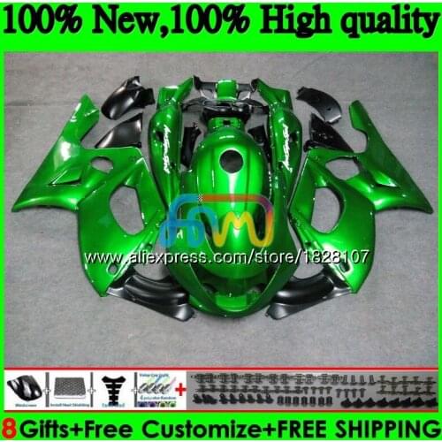 Thundercat For YAMAHA YZF600R 96 Metal green 02 03 04 2005 2006 2007 73BS.147 YZF 600R YZF-600R 2002 2003 2004 05 06 07 Fairing