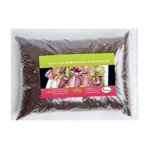 Exotica Pet Supplies