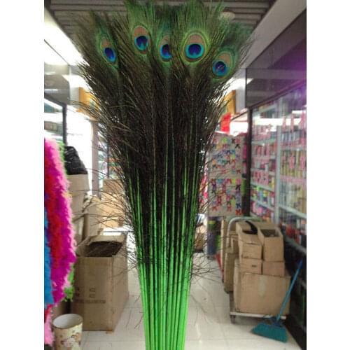 New! Green 50 pc quality natural peacock feathers, 28-32inches / 70-80cm DIY- wedding, living room, decorated flower vase