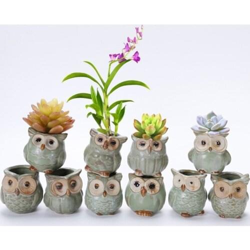 Creativity Owl Ceramic Flower Pot Mini Thumb Flower Pot Desktop Decoration Decoration Kiln Change Owl Set Meat Bowl