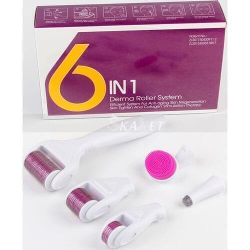 Original 6 In 1 Derma Roller Microneedle Kits for Multiple Skin Care Treatment Fine Lines Acne Scars with CE Approval