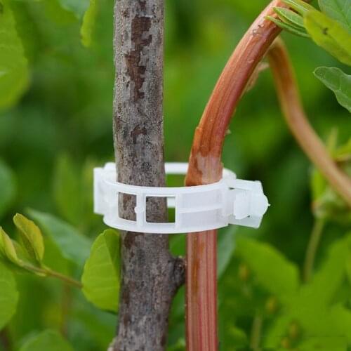 50pcs 30mm Plastic Garden Plant Support Clips Durable Vines Vegetable Fastener for Types Plants Greenhouse Farming Clip