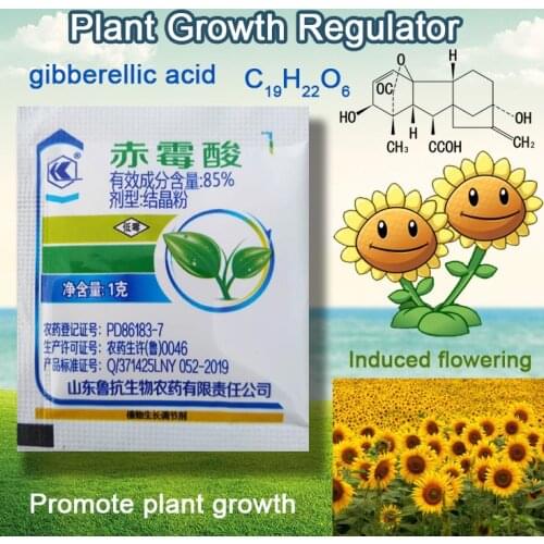 1 g Concentrate Gibberellic Acid 920 Plant Growth Regulator Break Sleep Fertilizer Increase Production For Home Garden Bonsai