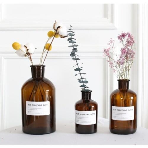 Minimalist Nordic Vase Table Planter Vintage Glass Plant Pot Hydroponics Mini Big Terrario Plantas Home Decoration ED50HP