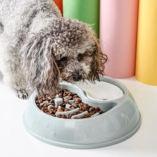 Dog Feeder Drinking Bowls for Dogs Cats Pet Food Bowl Comedero Perro Miska Dla Psa Gamelle Chien Chat Voerbak Hond D2219