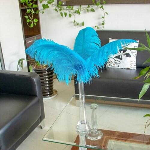 10 Pcs Fluffy Ostrich Feathers 35-40 CM/14-16''Decoration for Wedding Holiday Party Home Accessory DIY Craft Plumes Wholesale