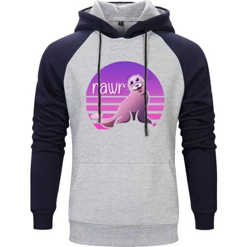 Mens Raglan Hooded Rawr Printing Harajuku Standard Leisure Tops Clothing 2020 New Retro Pullovers Long Sleeve Moletom Masculino