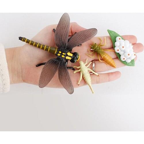 12pcs Newest Simulation Insect Growth Cycle Model Bee Dragonfly Action Figures Figurine Cute Kids Baby Toy Figures Educational