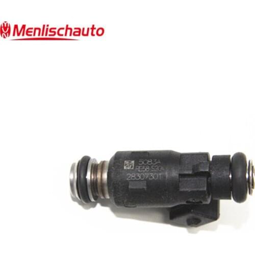 Auto Car Engine Parts Fuel Injector 28307301