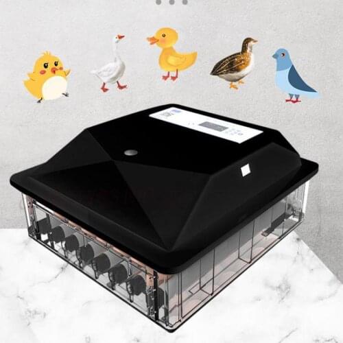 Incubator automatic small household thermostat mini chicken duck goose pigeon peacock egg incubator incubator