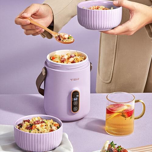 500W Electric Stew Pot Slow Cooker Tea Maker Portable Hot Pot Prridge Soup Maker with Appointment For Home Travel 600ml