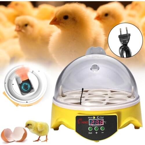 220V Eggs Incubator Brooder Bird Quail Chick Hatchery Incubator Poultry Hatcher Turner Automatic Farm Incubation Tools EU