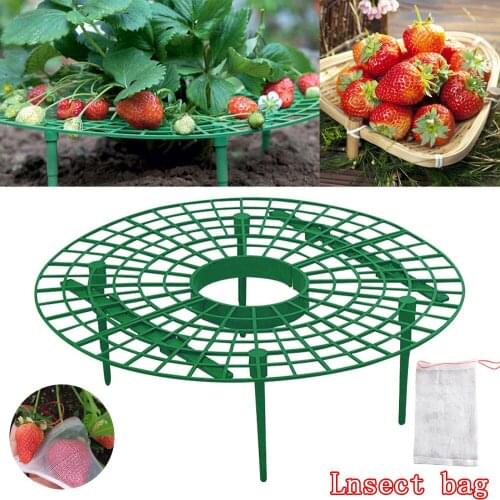 Strawberry Stand Supports Frame Holder Balcony Planting Rack Support Fruit Plant Flower Climbing Vine Pillar Gardening Stand