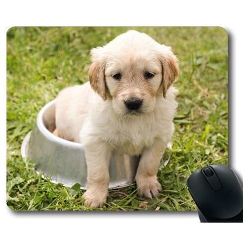 Dog Lover Mouse Pad,Puppy Golden Retriever Dog In The Free Young Pet,dogs mouse mat