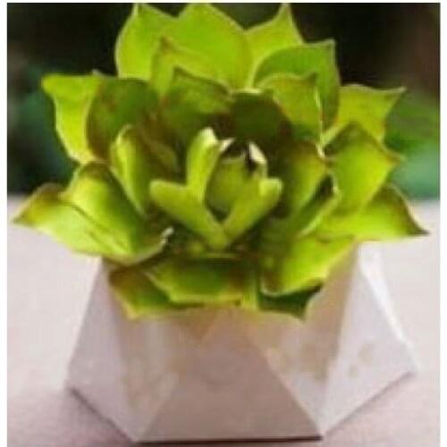 New Flowers Wooden Die Scrapbooking C2812 Cutting Dies Multiple Sizes Compatible With Most Die Cutting Machines