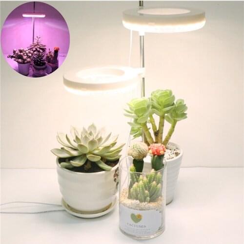 Credeae LED Plant Lamps