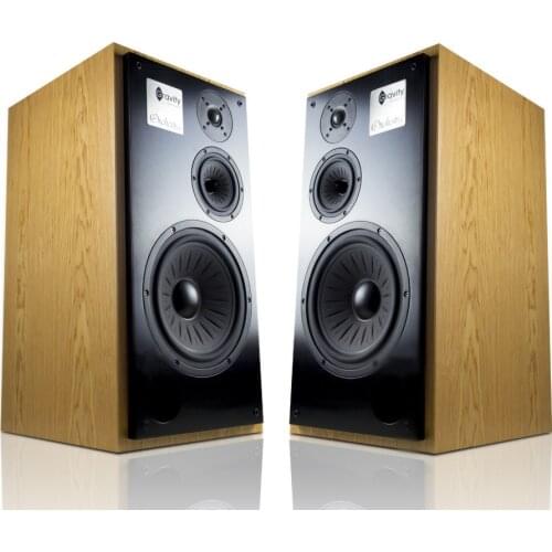 N-001 Gravity-acoustic Orchestra 11 Inch Three-way Hifi Bookshelf Speaker Eton 28s Tweeter+5-512 Midrange+11-612 Woofer Speaker