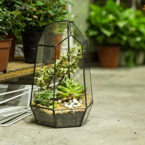 NCYP 25cm Irregular Geometric Terrarium Garden Desktop Glass Flower Pot Handmade Succulents Plants Large Decoration Planter Gift