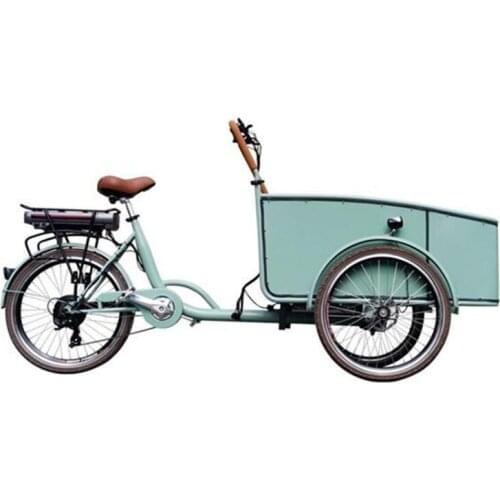 Pedal Electric Dutch Adult Tricycle Blue Color Cargo Bike Street Vending Cart for Sale Customizable
