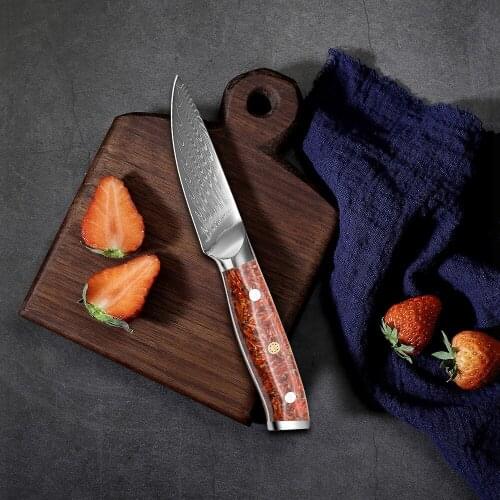 New Arrival 3.5 Inch 67 Layer Damascus Steel Kitchen Chef Knife with Resin and Wheat Husk Handle