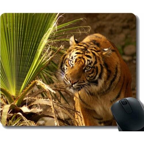 Mouse Pad Personalized,Tiger Muzzle Big Cat Grass Hunting 40223 Mouse Pads
