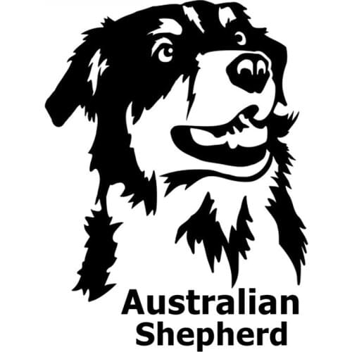 SZWL Australian Shepherd on Board Car Sticker Funny Auto Stickers Creative Decals Waterproof Accessories Vinyl,20cm*15cm