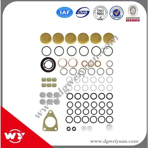 Good price repair kits 2417010021 800718 for injector pump