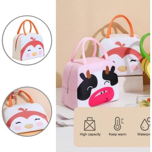 Lightweight Fashion Cartoon Colors Insulated Lunch Box Cooler Bag Easy to Clean Lunch Box Bag Large Capacity for Hiking