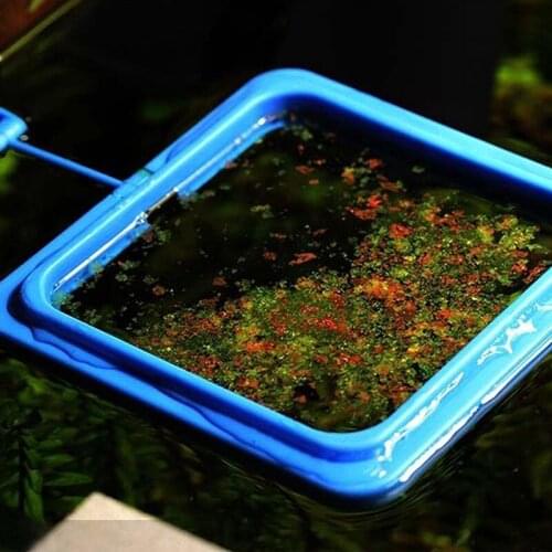 Aquarium Fish Tank Square/Circle Ring Feeder Feeding Station Float Floating Food