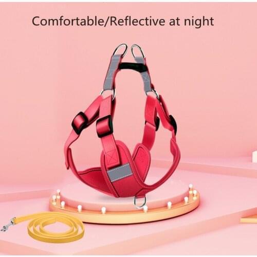 Small and medium Leash Puppy Walking Chest Strap Practical Durable Pet Traction Rope Multicolor Kitten Outdoor Walking Tool