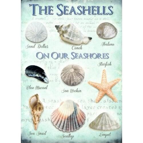 Seashells on the Seashore Metal Sign Home Sun Plaque Decor Sand Holiday Beach