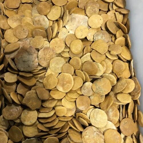 100g Rare Beautiful Natural Fossil Rough Stone Biscuits Shape Crystal Healing Specimen Minerals Home Desk Aquarium Decoration