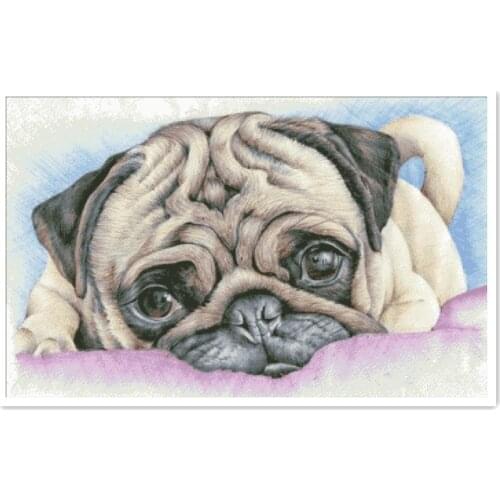 Cute Shar Pei cross stitch package animal 18ct 14ct 11ct cloth cotton thread embroidery DIY handmade needlework