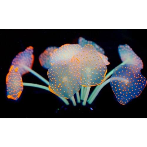 11 Leaves Silicone Glowing Artificial Underwater Plants Aquarium Fish Tank Decoration Green Purple Coral Viewing Decoration