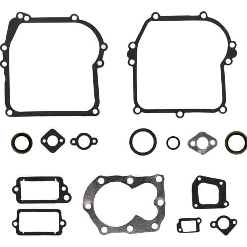 590777 Engine Gasket Set Replaces 794209, 699933, 298989
