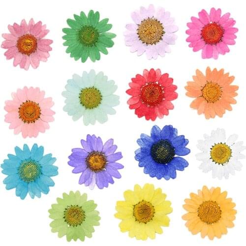 360Pcs Pressed Press Dried Daisy Dry Flower Plants For Epoxy Resin Pendant Necklace Jewelry Making Craft DIY Accessories