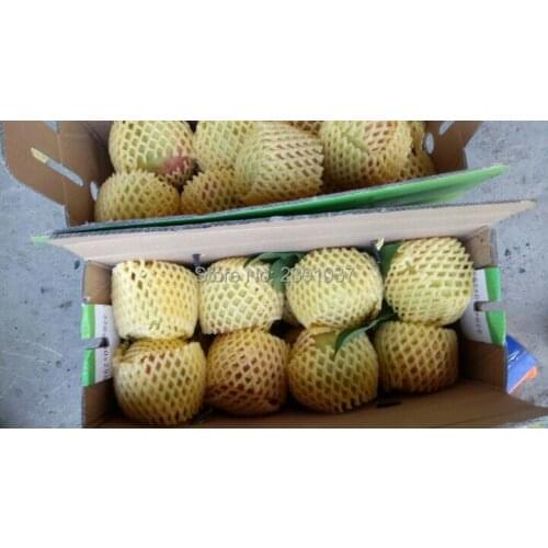 14cm*7cm 850pcs Fruit foam for Apples orange pears white EPE Foam mesh sleeve net Thick fruit foam sleeve net packing material