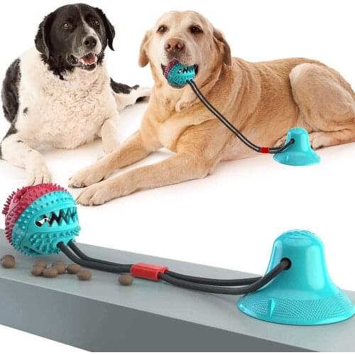 KOYOT Products For Dogs