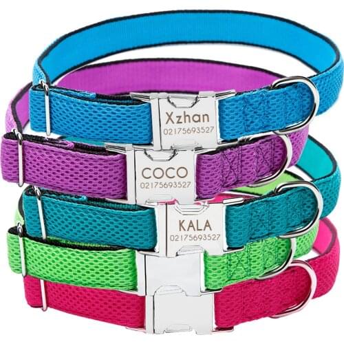 Dog collar sets rope Custom engraving Adjustable Name ID Tag Personalized for small big dogs 2021 new Solid color