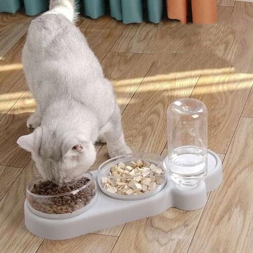 Raised Cat Bowl Tilt Dog Food Water Elevated Dispenser Set with Automatic Water Bottle Feeder Waterer Pet Food Container