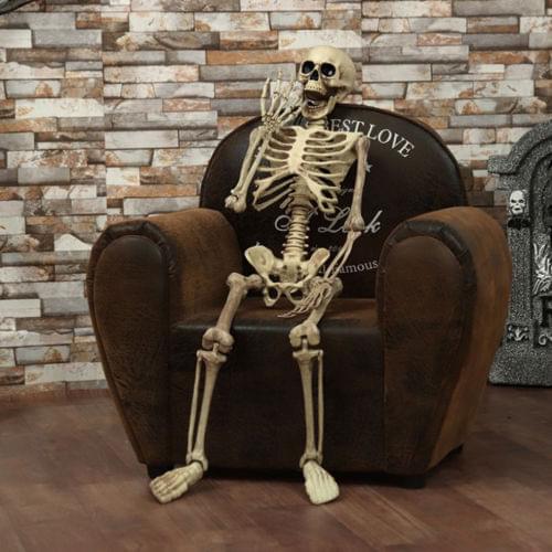 Halloween Prop Human.Skeleton Full Size Skull Hand Life Body Anatomy Model Decor