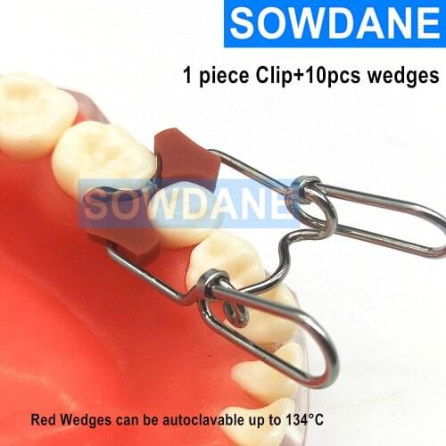 10pcs Orthodontic Add-On Autoclavable Silicon Rubber Elastic Wedges Dental Clip Matrice Mixed Spring Wedges Dental Materials