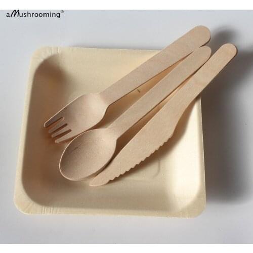 25 Sets Biodegradable Disposable Cutlery Set Wooden Silverware Dinner Utnesils Salad Dessert Cake Plates Spoons Forks Knives