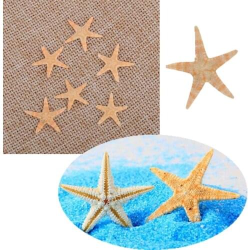 25/50pcs Mini Starfish Craft Decoration Natural Sea Stars DIY Beach Cottage Wedding Decor sea shells party sea conch