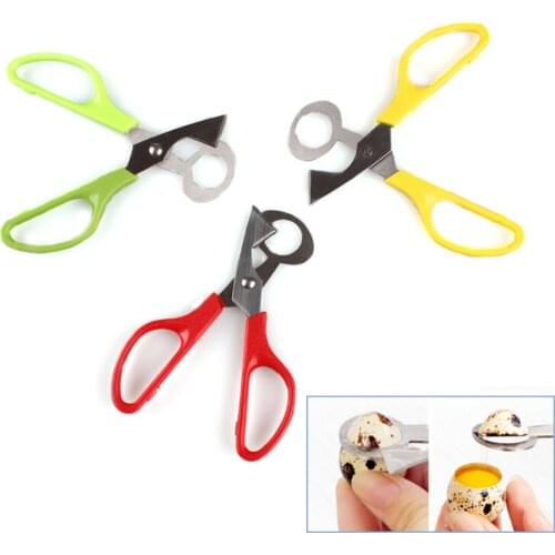 Pigeon Quail Egg Scissor Bird Cutter Opener Sale Kitchen Tool